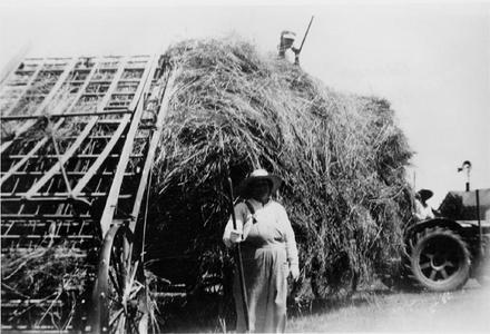 George Wautlet, Augustine Martin and Helen Wautlet - hay loader