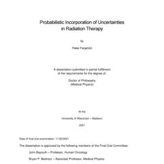 Probabilistic Incorporation of Uncertainties in Radiation Therapy