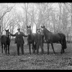 Three of " the Pickets" colts owned by Ole Flingson