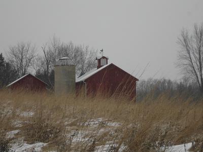 Field Station in winter