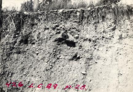 Stratified gravel in railway cut