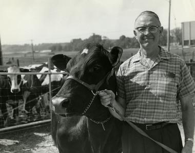 Man and cow