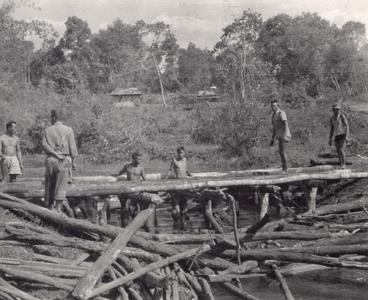 Villagers construct a bridge using timbers cut locally in Attapu Province