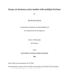 Essays on business cycles studies with multiple frictions