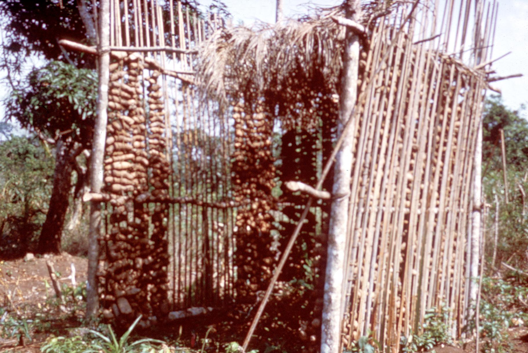 Barn for Drying Yams in Middle Belt of Nigeria