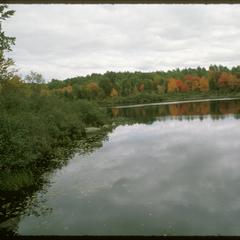 Lake view in fall, Hanson Property