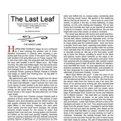 The last leaf Number 9 [2004]