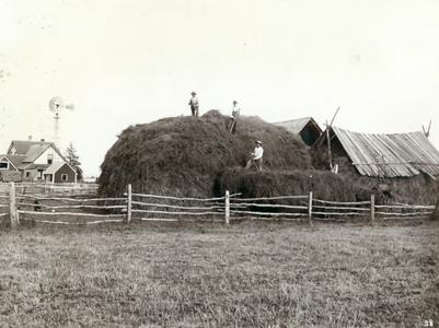 Giant haystack