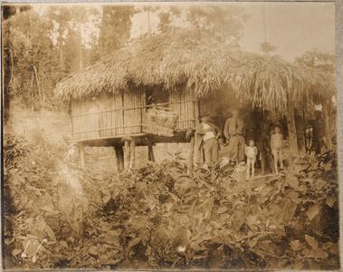Sibley (notorious deserter), wagonblass, 2 albino Negritos