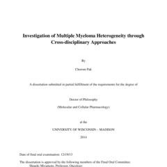 Investigation of Multiple Myeloma Heterogeneity through Cross-disciplinary Approaches