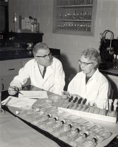 The Allens in a lab