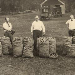 C. J. Chapman with early Ohio potatoes