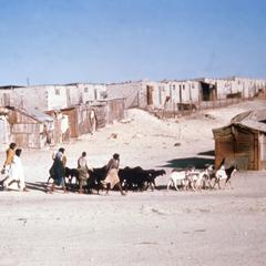Coastal town along the Border with Western Sahara