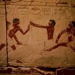 Drawing in Tomb near Giza Pyramids, Circa 2000 B.C.