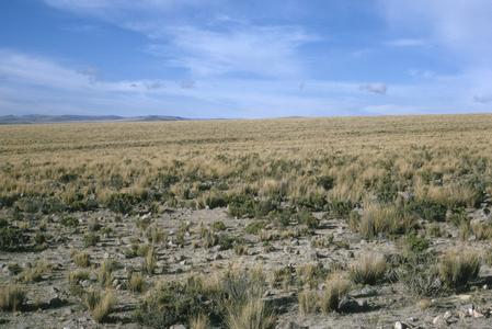 Dry plains along Puquis Road, Lucanas, Ayacucho