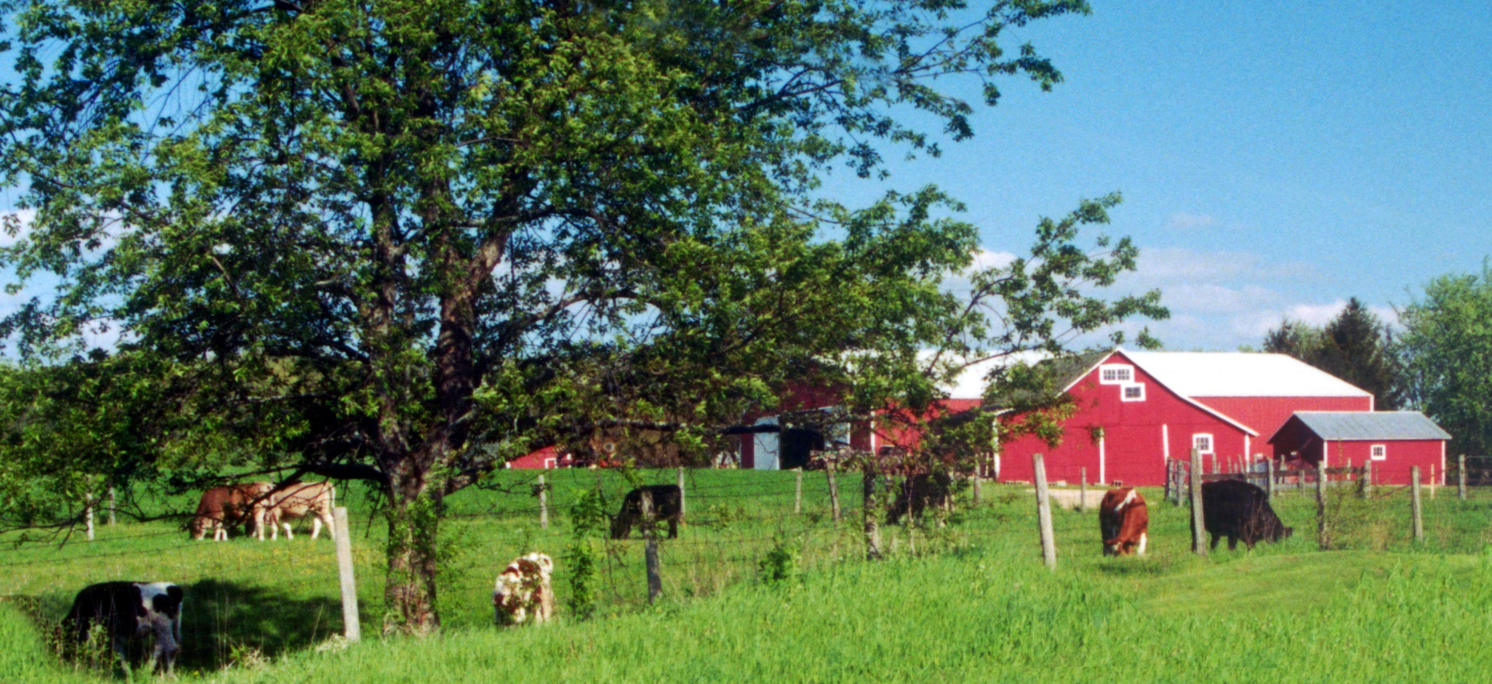 Farm scene, photo 1
