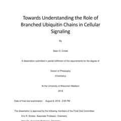 Towards Understanding the Role of Branched Ubiquitin Chains in Cellular Signaling