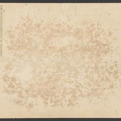 Object 2 titled Back