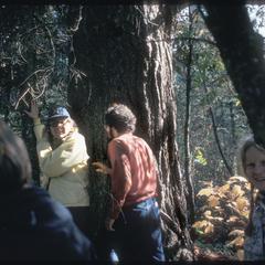 Evelyn Howell in front of large white pine, McDougal Springs