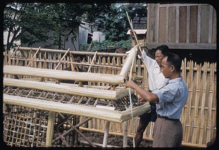 Funeral : men building bamboo palanquin