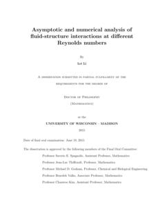 Asymptotic and numerical analysis of fluid-structure interactions at different Reynolds numbers