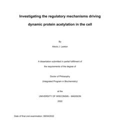 Investigating the regulatory mechanisms driving dynamic protein acetylation in the cell