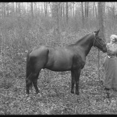Miss Buck and "Ned" (horse) - picnic -June