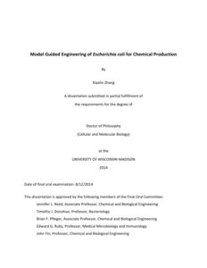 Model Guided Engineering of Escherichia coli for Chemical Production