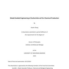 Model Guided Engineering of Escherichia coli for Chemical Production
