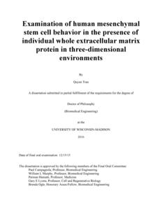 Examination of human mesenchymal stem cell behavior in the presence of individual whole extracellular matrix protein in three-dimensional environments