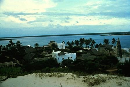 Scene of Zanzibar Neighborhood Including a Mosque