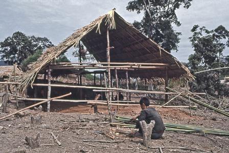 Building a hut