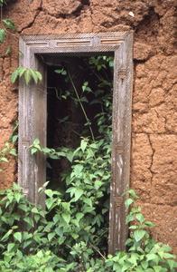 Climbing plants grow through a doorway