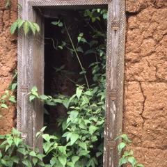 Climbing plants grow through a doorway
