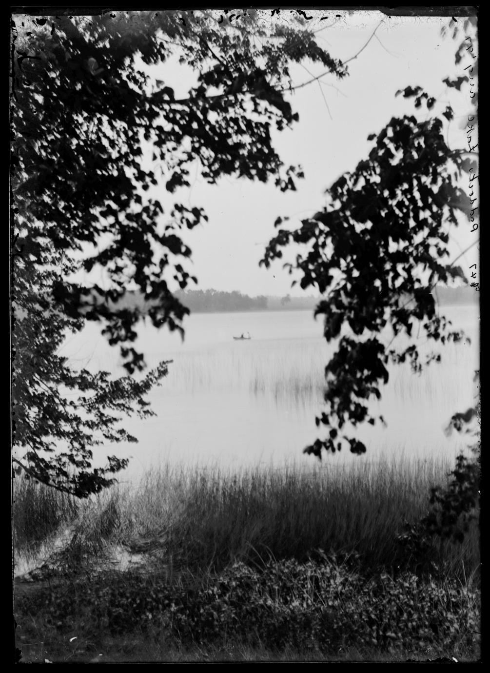 Paddock's Lake - August