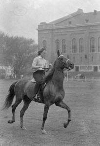 Woman equestrian near fieldhouse