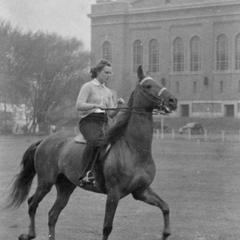 Woman equestrian near fieldhouse