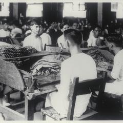 Men making cigars, Manila, 1920-1930