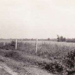 Road along a field