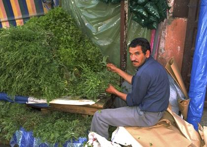 Tea Dealer in Marrakech Medina