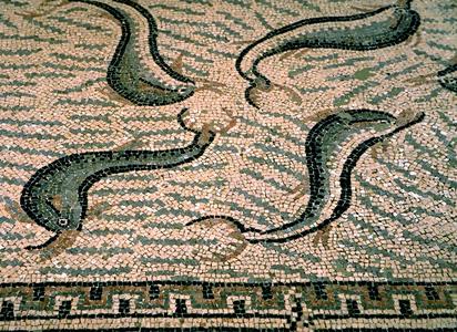 Volubilis Mosaic Floor with Fish