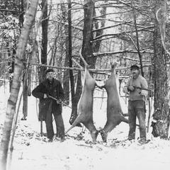 Two early hunters with deer
