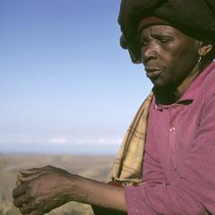 Nongenile Masithathu Zenani, performing