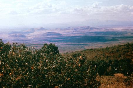 Northeast Frontier in Nyamberi Hills