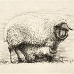 Sheep with Lamb III, from Sheep