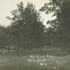 Old Plank Road, photo 2