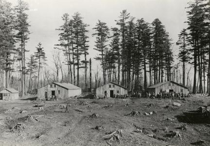 Logging camp