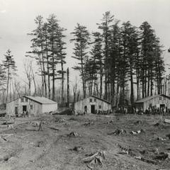 Logging camp