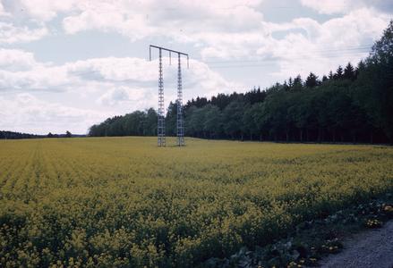 Swedish field