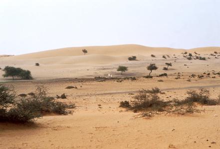 Landscape along Rosso-Nouakchott Road